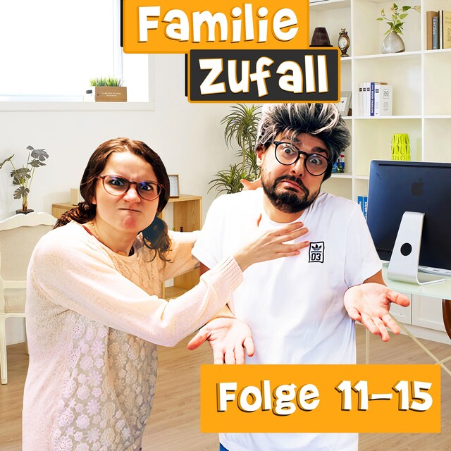 Book cover for Familie Zufall, Folge 11-15