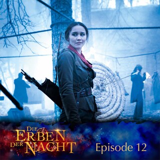 Folge 12: Dunkle Zeiten als Hörbuch
