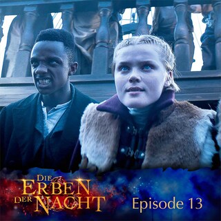 Folge 13: Nacht der Entscheidung als Hörbuch