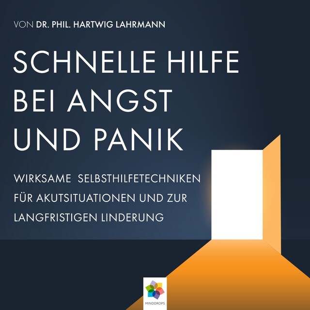 Schnelle Hilfe bei Angst und Panik * Wirksame Selbsthilfetechniken für Akutsituationen zur langfristigen Linderung Book cover for Schnelle Hilfe bei Angst und Panik * Wirksame Selbsthilfetechniken für Akutsituationen zur langfristigen Linderung