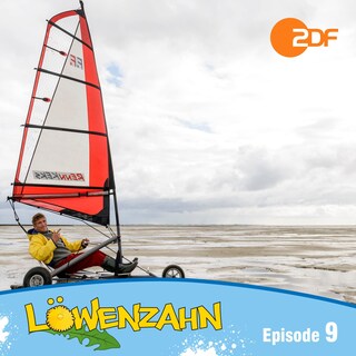 Episode 09: Sos im Wattenmeer als Hörbuch