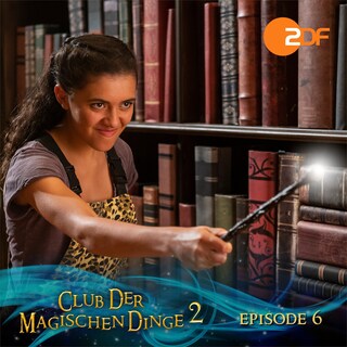 Staffel 2, Folge 06: Der zerbrochene Spiegel als Hörbuch