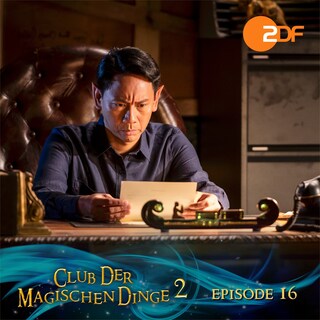 Staffel 2, Folge 16: Einige Enthüllungen als Hörbuch