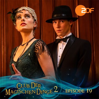 Staffel 2, Folge 19: Ein verzweifelter Plan als Hörbuch
