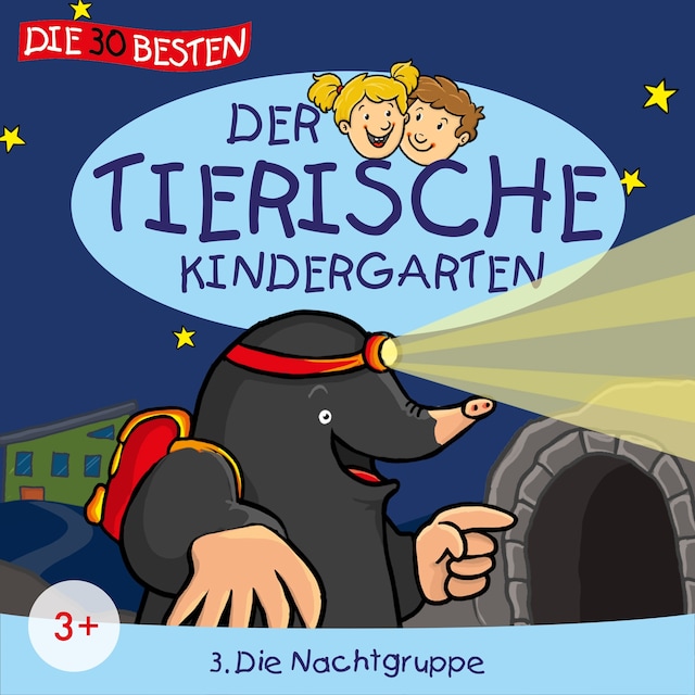 Book cover for Folge 3: Die Nachtgruppe