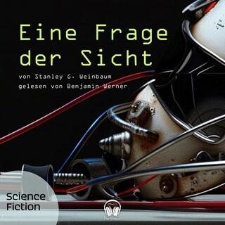 Eine Frage der Sicht als Hörbuch