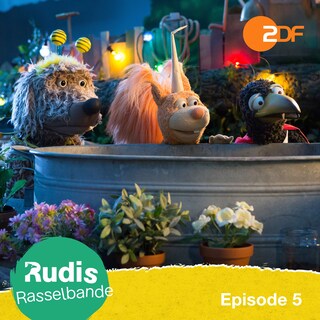 Episode 5: Süßes oder Saures! als Hörbuch