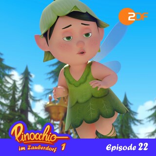 Episode 22: Fridos großer Traum als Hörbuch