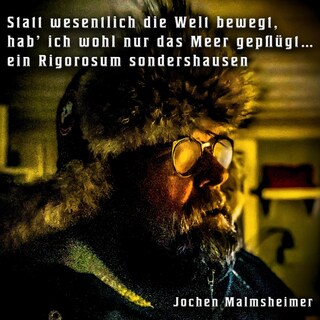 Statt wesentlich die Welt bewegt, hab ich wohl nur das Meer gepflügt - Ein Rigorosum sondershausen als Hörbuch