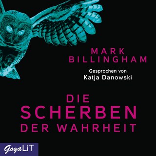 Die Scherben der Wahrheit bookCoverFor