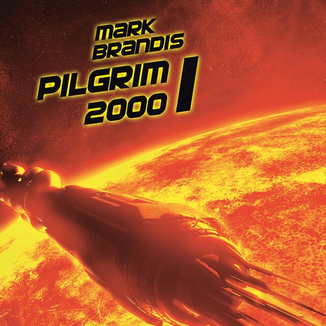 Book cover for 13: Pilgrim 2000 1