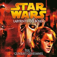 Labyrinth des Bösen - Teil 1: Gunrays Geheimnis