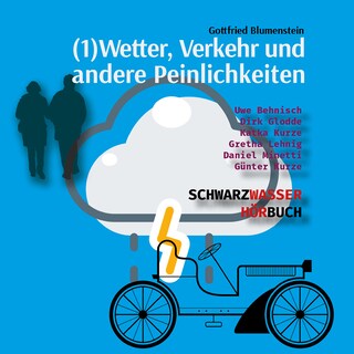 Wetter, Verkehr und andere Peinlichkeiten als Hörbuch