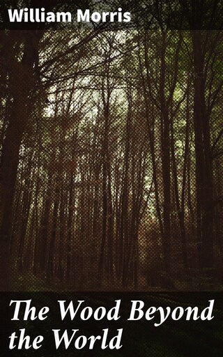 The Wood Beyond the World bookCoverFor