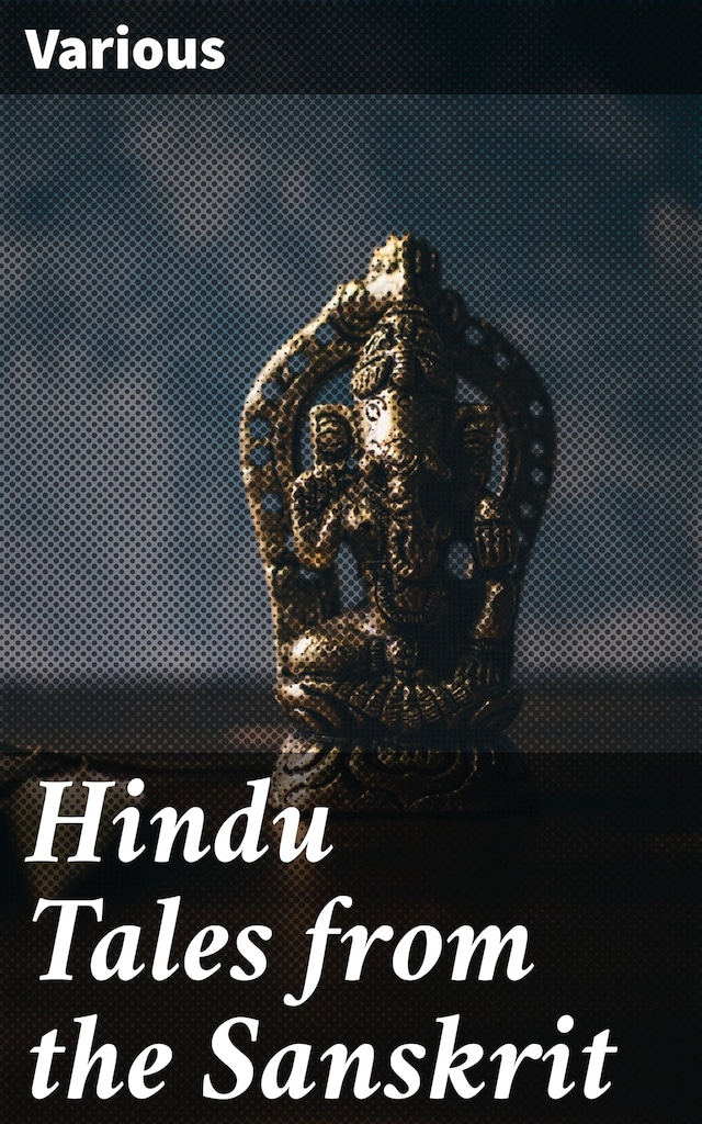 Book cover for Hindu Tales from the Sanskrit