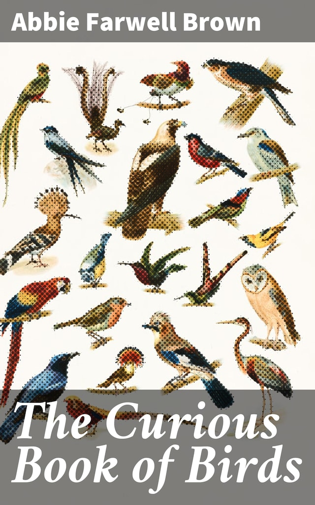Book cover for The Curious Book of Birds