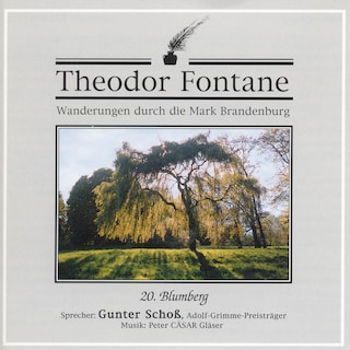 Wanderungen durch die Mark Brandenburg (20) als Hörbuch