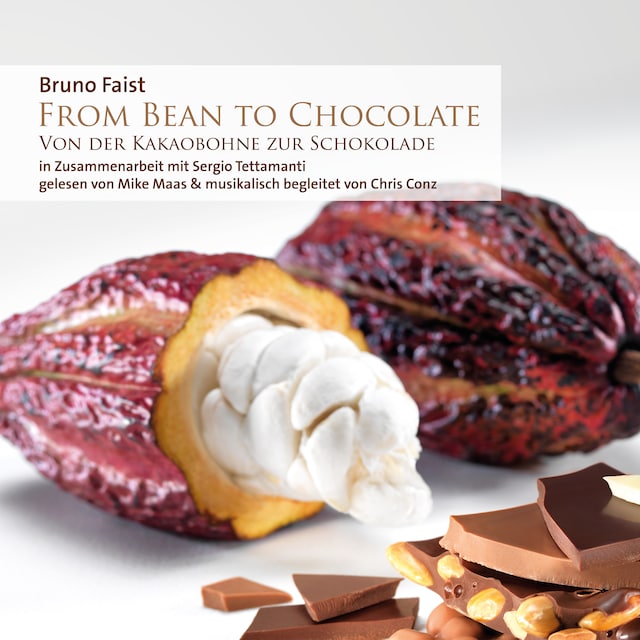 Book cover for From Bean To Chocolate