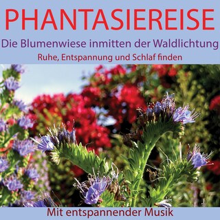 Phantasiereise: Die Blumenwiese inmitten der Waldlichtung als Hörbuch