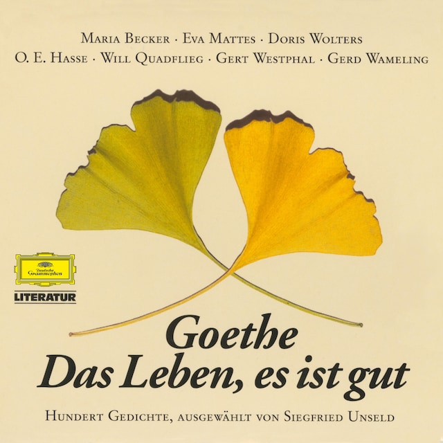 Book cover for Goethe: Das Leben, es ist gut