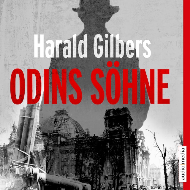 Copertina del libro per Odins Söhne