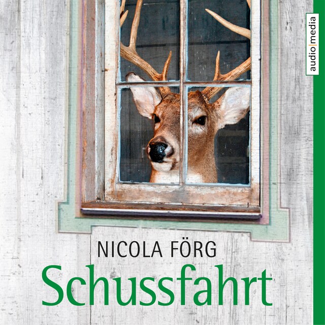 Book cover for Schussfahrt - Ein Allgäu-Krimi