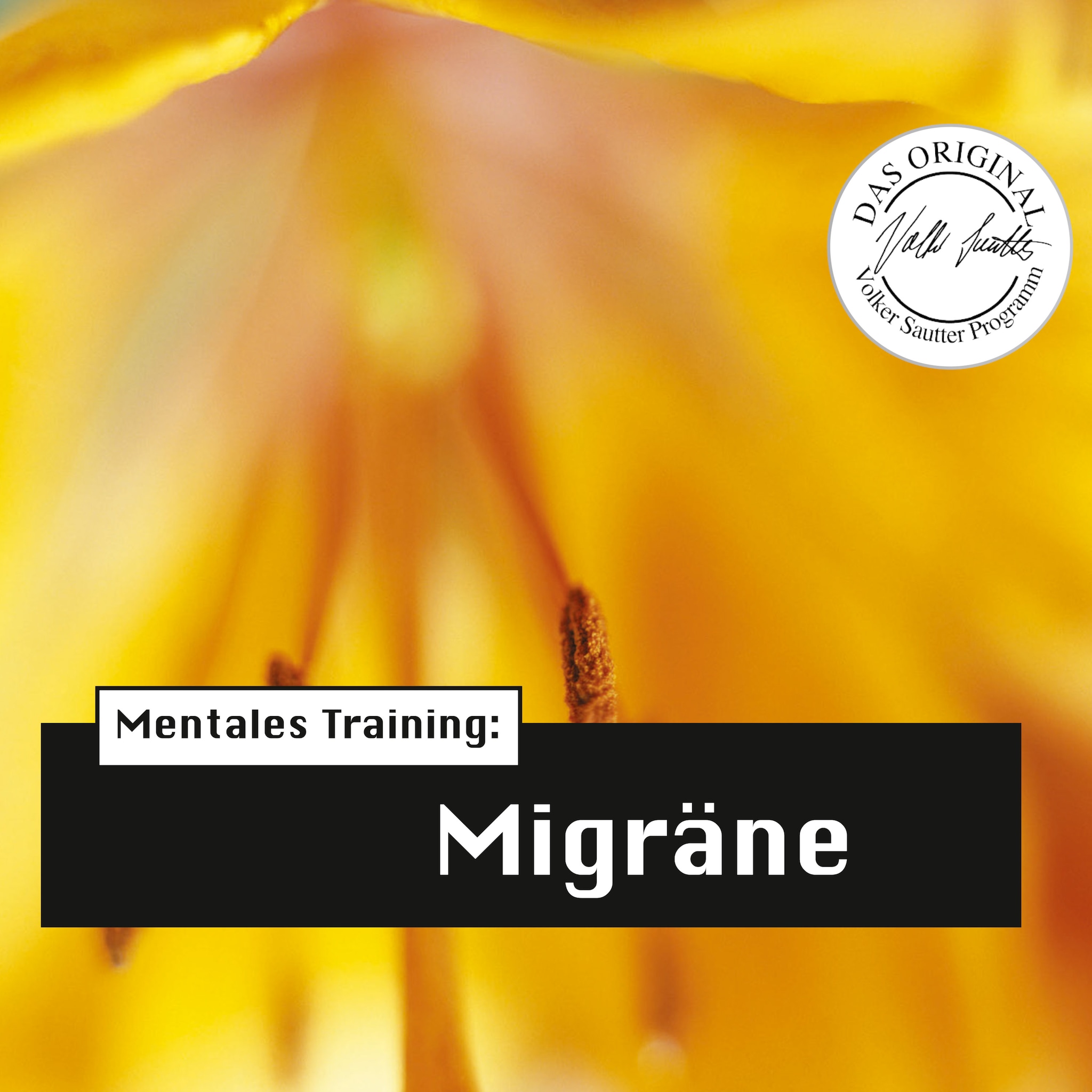 Die Hörapotheke – Mentales Training: Migräne ilmaiseksi