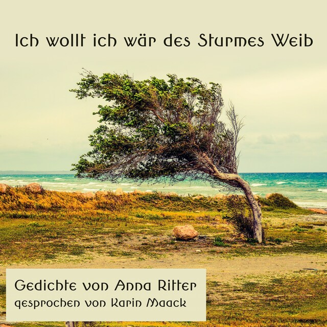 Book cover for Ich wollt ich wär des Sturmes Weib