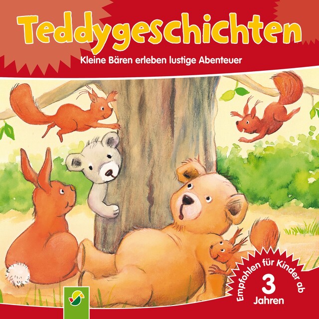 Buchcover für Teddygeschichten