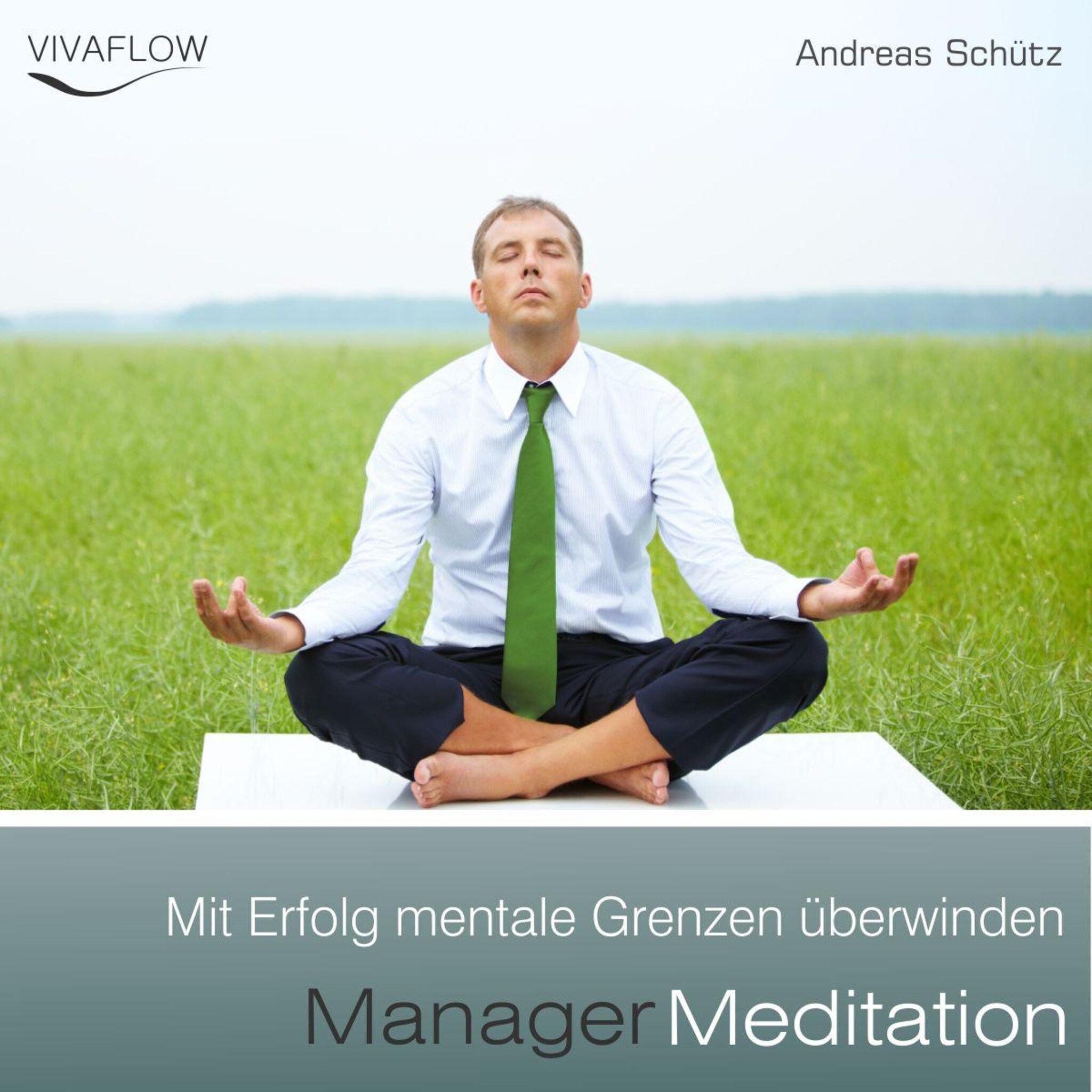 Manager Meditation – Mit Erfolg mentale Grenzen überwinden ilmaiseksi