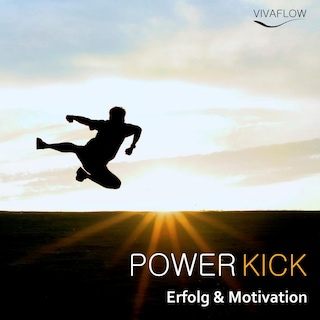 Power Kick - Mehr Energie, Erfolg & Motivation als Hörbuch