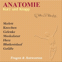 Anatomie kurz und knapp