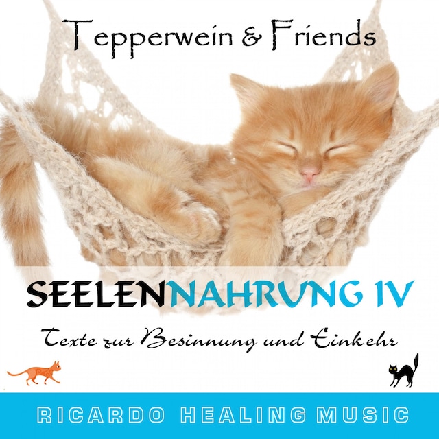 Book cover for Seelennahrung 4: Texte zur Besinnung und Einkehr (Tepperwein and Friends)