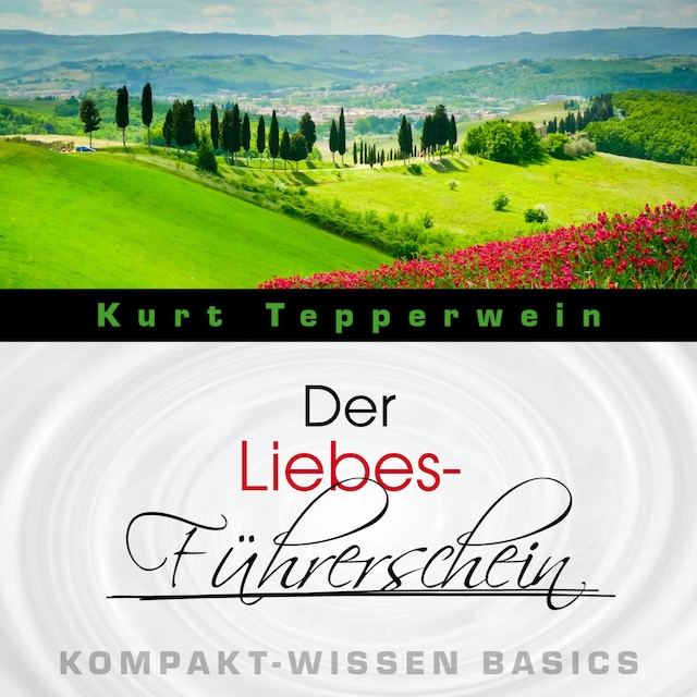 Boekomslag van Der Liebes-Führerschein - Kompakt-Wissen Basics
