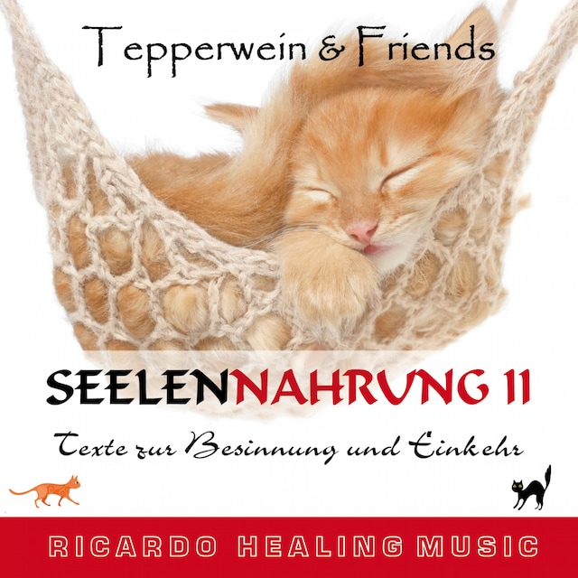 Book cover for Seelennahrung 2: Texte zur Besinnung und Einkehr (Tepperwein and Friends)