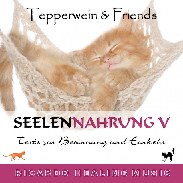 Book cover for Seelennahrung 5: Texte zur Besinnung und Einkehr (Tepperwein and Friends)