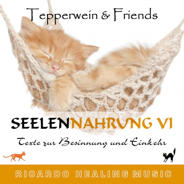 Book cover for Seelennahrung 6: Texte zur Besinnung und Einkehr (Tepperwein and Friends)