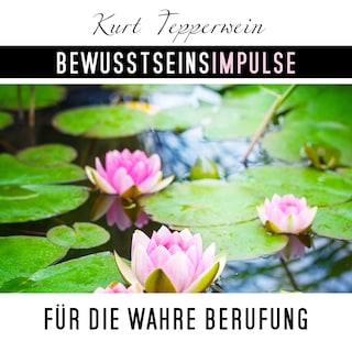 Bewusstseinsimpulse für die wahre Berufung als Hörbuch