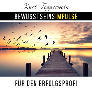 Bewusstseinsimpulse für den Erfolgsprofi als Hörbuch