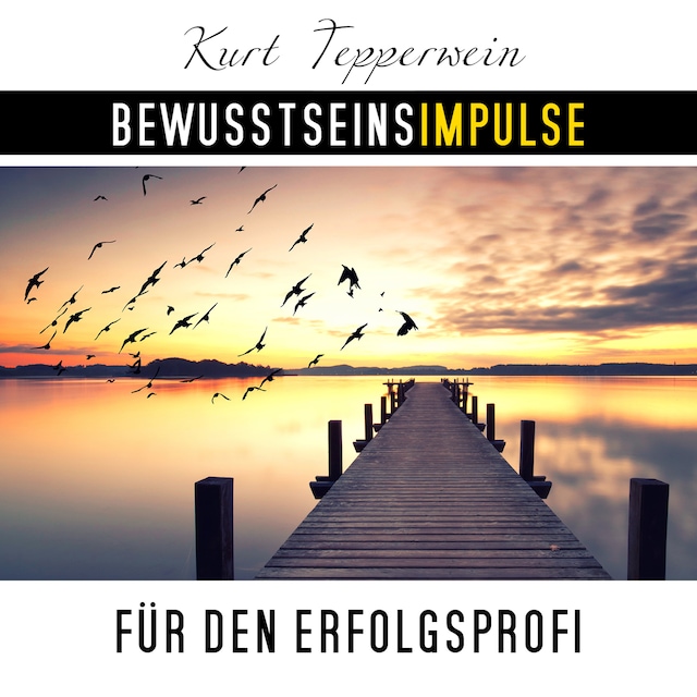 Book cover for Bewusstseinsimpulse für den Erfolgsprofi