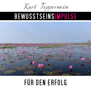 Bewusstseinsimpulse für den Erfolg als Hörbuch
