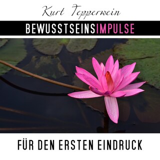 Bewusstseinsimpulse für den ersten Eindruck als Hörbuch
