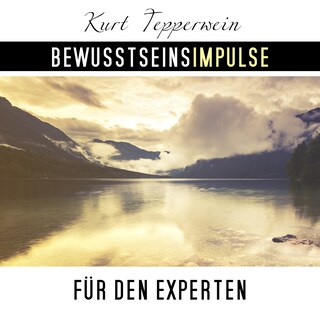 Bewusstseinsimpulse für den Experten als Hörbuch