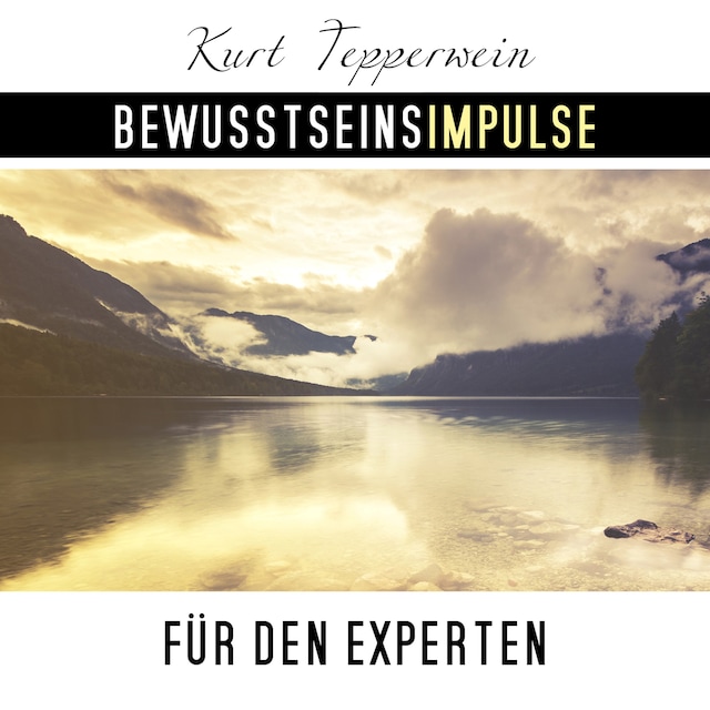 Book cover for Bewusstseinsimpulse für den Experten