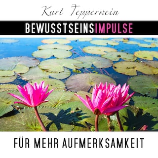 Bewusstseinsimpulse für mehr Aufmerksamkeit als Hörbuch