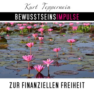 Bewusstseinsimpulse zur finanzielle Freiheit als Hörbuch