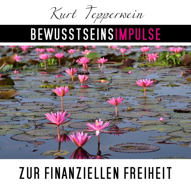 Book cover for Bewusstseinsimpulse zur finanzielle Freiheit