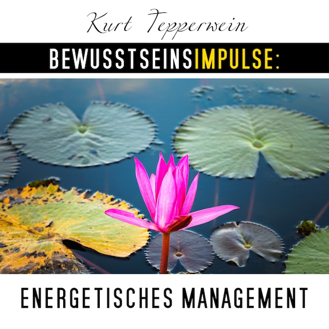 Book cover for Bewusstseinsimpulse: Energetisches Management