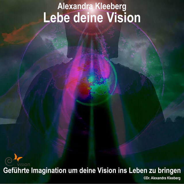 Book cover for Lebe deine Vision