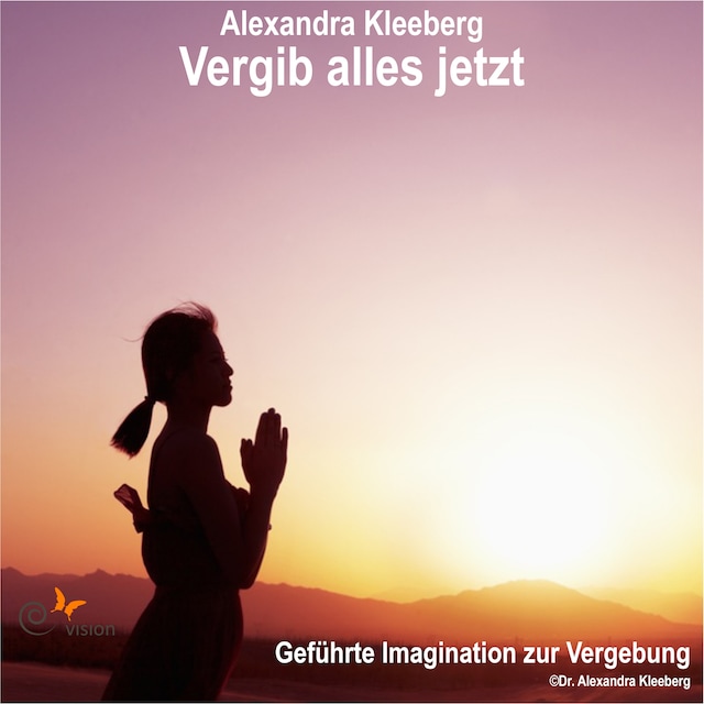 Book cover for Vergib alles jetzt